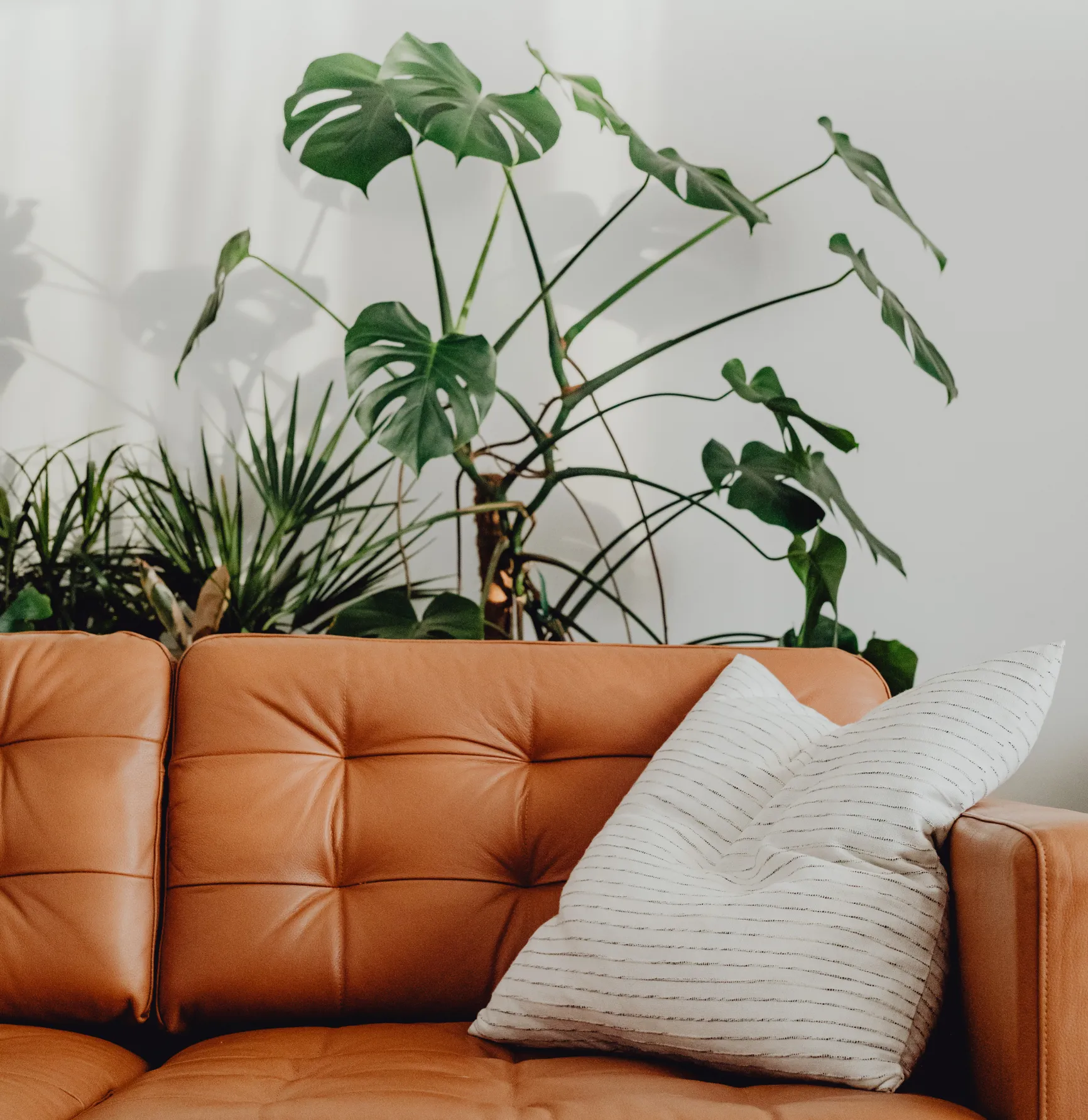 Living Room | Real Results | Image 3