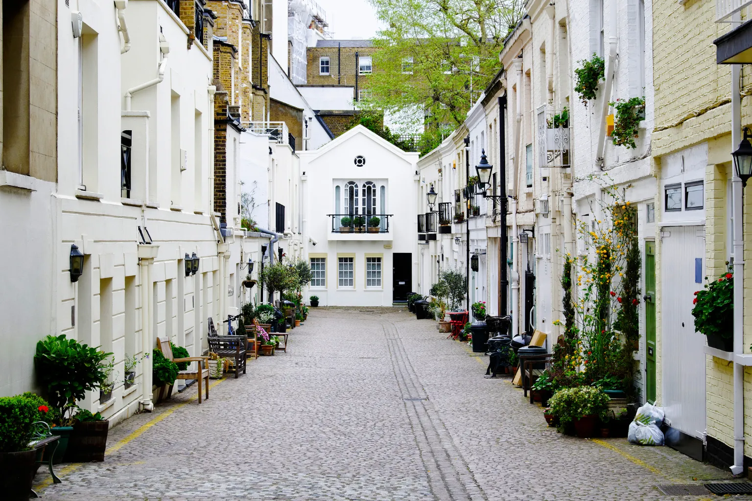 Earth Friendly Cleaning | Knightsbridge | Before After