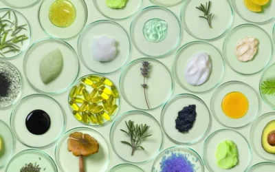 How Much Does End of Tenancy Cleaning Cost in London?